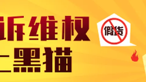 泰国总理钦那瓦佩通坦访问华彬集团：深度解析中泰经济合作新篇章