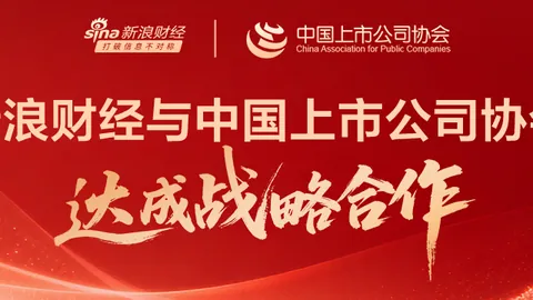 赛博朋克207725版更新：双持全解析，解锁全新玩法